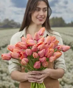 Tulipanløg “Apricot Impression” | Smuk Darwin Hybrid tulipan – Str. 12+ | FRA 5,40 KR