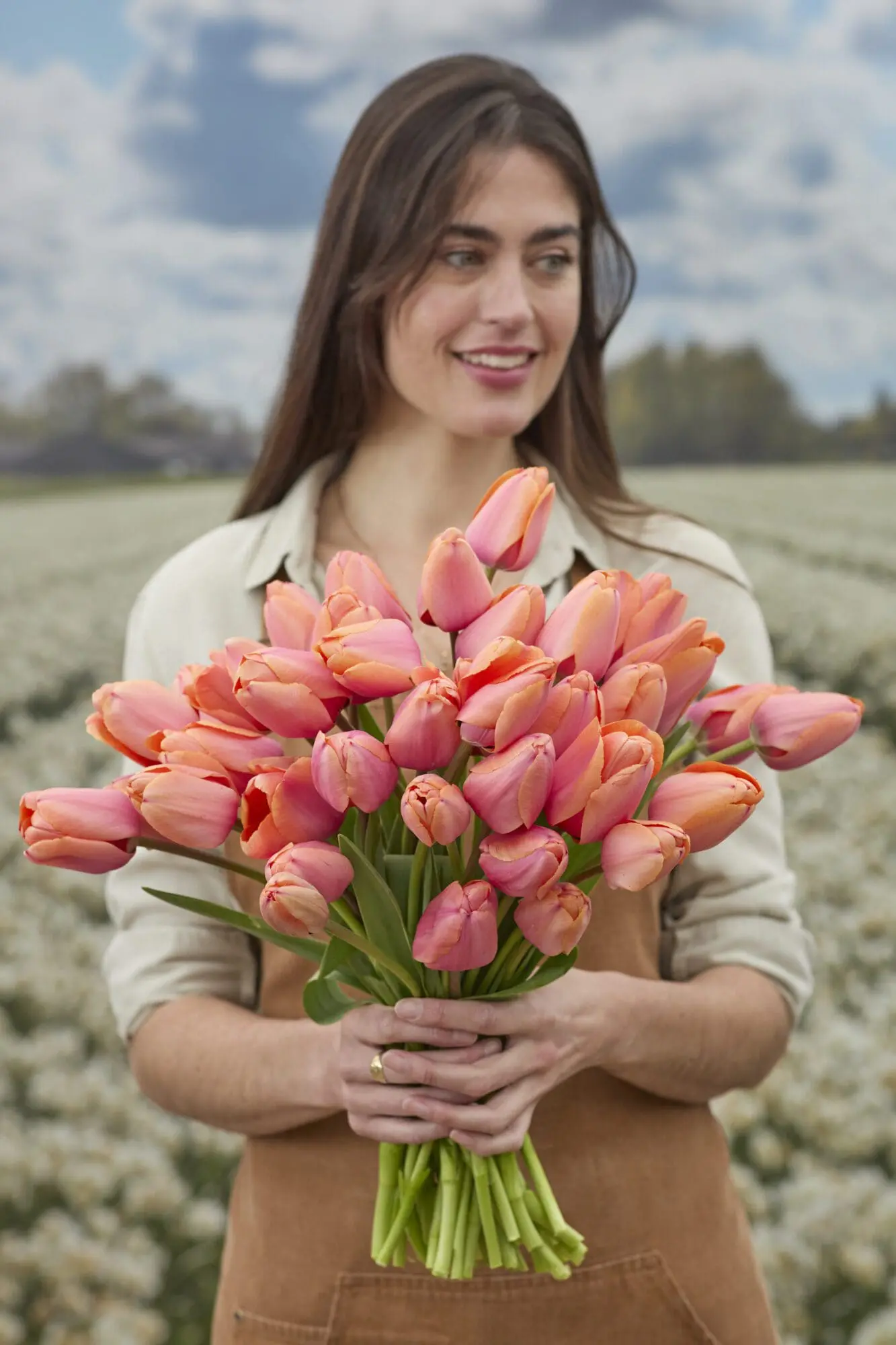 Tulipanløg “Apricot Impression” | Smuk Darwin Hybrid tulipan – Str. 12+ | FRA 5,40 KR