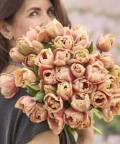 Tulipanløg “La Belle Epoque” | Eksklusiv dobbelt tulipan – Str. 12+ | FRA 8,76 KR