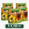 Solsikkefrø Golden Mix – pakketilbud til 500 m² | Smuk farverig solsikke-blanding.