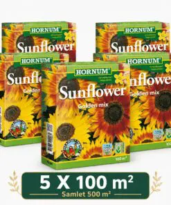 Solsikkefrø Golden Mix – pakketilbud til 500 m² | Smuk farverig solsikke-blanding.