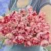 Tulipanløg ‘Etched Salmon’ (Double Early) – Str. 12+ | Laksefarvet fyldt tulipan | FRA 5,96 KR