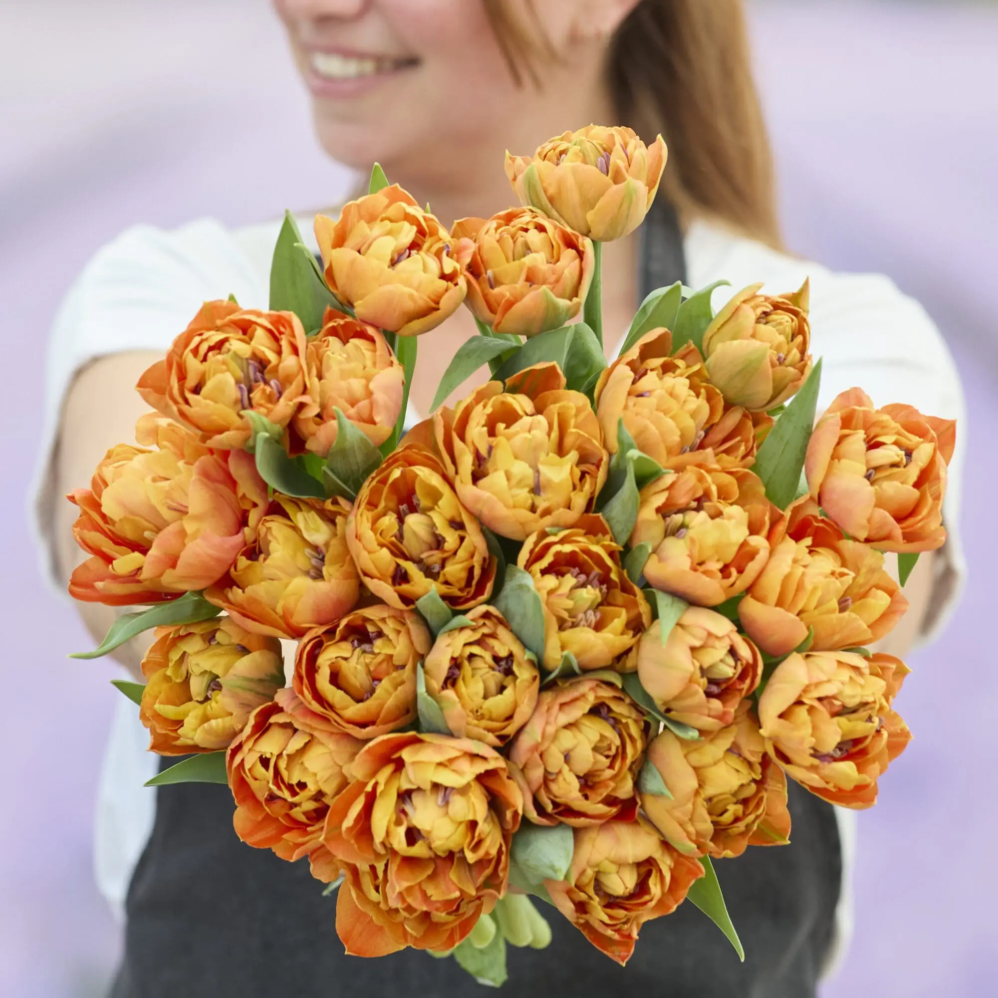 Tulipanløg ‘Valdivia’ (Tulipa Double Early) – Str. 12+ | Fyldt tidlig tulipan | FRA 5,40 KR