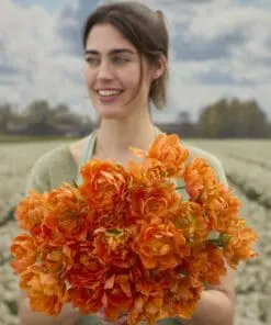 Tulipanløg ‘Orca’ (Double Early) – Str. 12+ | Eksklusiv Orange fyldt tulipan | FRA 5,96 KR