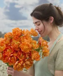 Tulipanløg ‘Orca’ (Double Early) – Str. 12+ | Eksklusiv Orange fyldt tulipan | FRA 5,96 KR
