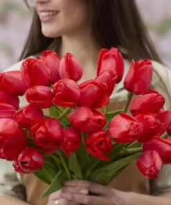 Tulipanløg ‘Red Impression’ (Darwin Hybrid) Str. 12+ | Flot rød tulipan | FRA 5,40 KR.