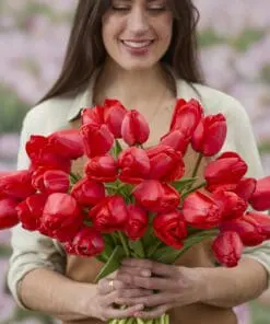 Tulipanløg ‘Red Impression’ (Darwin Hybrid) Str. 12+ | Flot rød tulipan | FRA 5,40 KR.