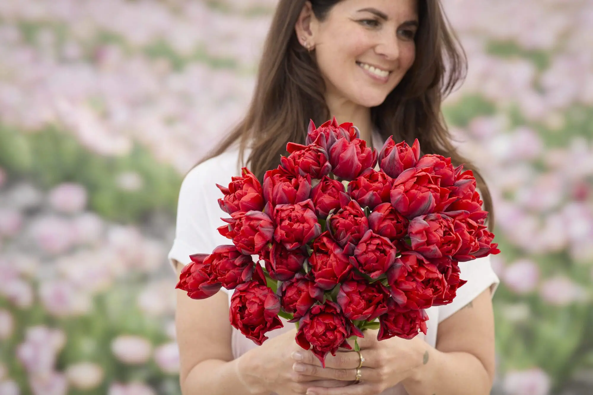 Tulipanløg ‘Red Princess’ (Double Late) – Str. 12+ | Rød sen dobbelttulipan | FRA 5,40 KR