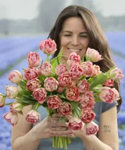 Tulipanløg ‘Quinty Trustfull’ (Double Early) – Str. 12+ | Eksklusiv rosa fyldt tulipan | FRA 5,96 KR