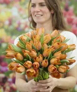 Tulipanløg ‘Sunrise Prince’ – Str. 12+ | Orange tulipan til haven | FRA 5,40 KR.
