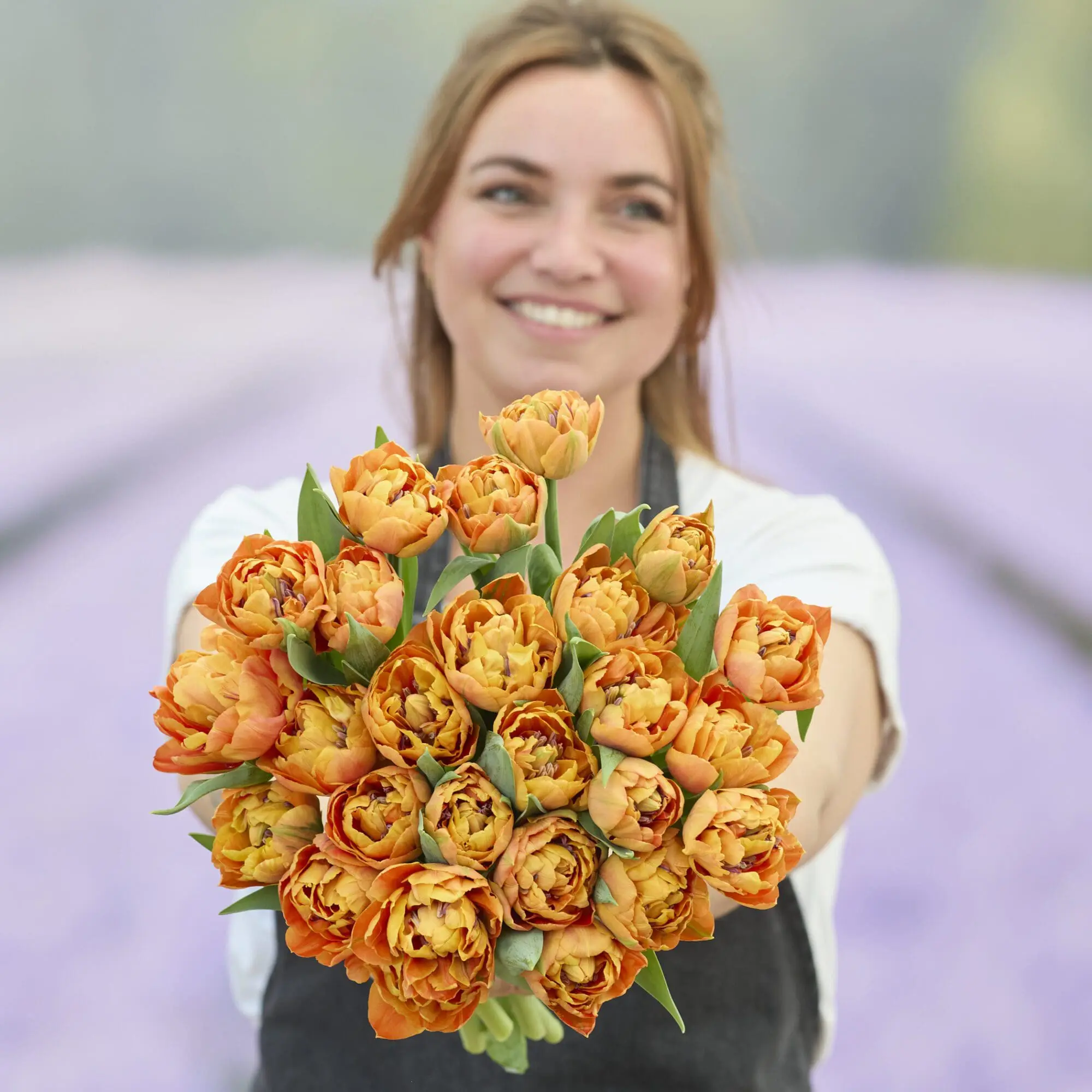 Tulipanløg ‘Valdivia’ (Tulipa Double Early) – Str. 12+ | Fyldt tidlig tulipan | FRA 5,40 KR