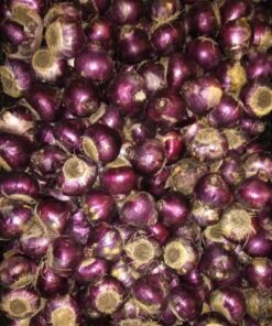 UDSOLGT – Hyacintløg Fondante Pink Hyacint 10 stk 49,- kr 25 stk 99,- kr