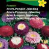 Asters frø – Pompon blanding