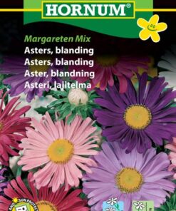 Asters Frø Mix – Margareten Mix