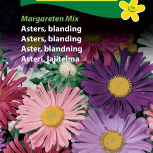 Asters Frø Mix – Margareten Mix