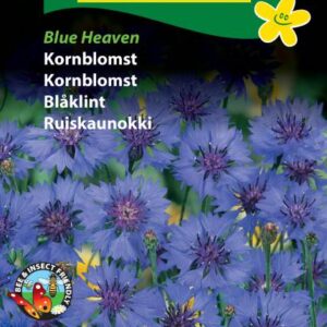 Blå kornblomst – Blomsterfrø – Blue Heaven