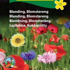 Blomstereng blomsterfrø – Flerårig frøblanding med ca. 35 arter