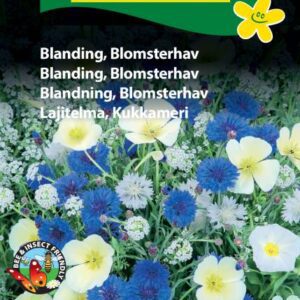 Blomsterhav blomsterfrø – Blomsterblanding i blå og hvide nuancer