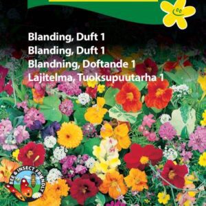 Duftende blomsterblanding “Duft 1” – Blomsterfrø
