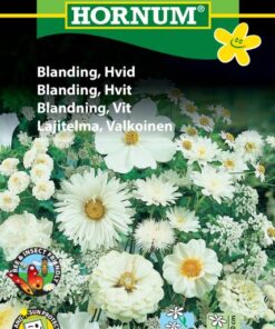 vid blomsterblanding blomsterfrø til gode priser i bedste kvalitet. Køb dem på www.nemhjem.dk