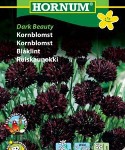 Kornblomst frø – Dark Beauty