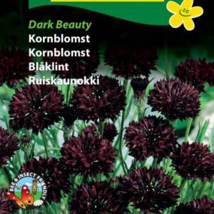 Kornblomst frø – Dark Beauty