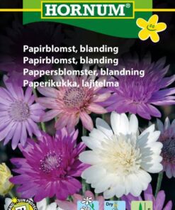Papirblomst frø – Blanding