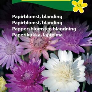 Papirblomst frø – Blanding