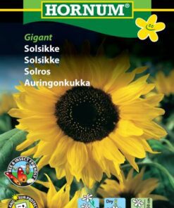 Solsikke Gigant – Solsikkefrø