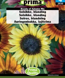 Solsikke blomsterfrø blanding – Beauty of Autumn Mix