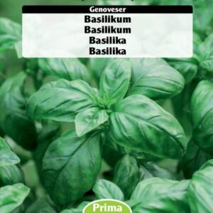 Basilikum frø Genoveser. Almindelig basilikum. Dyrk dine egne krydderurter med frø fra www.nemhjem.dk
