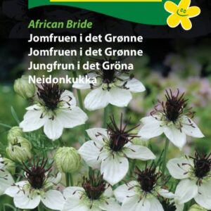 Jomfruen i det grønne – African Bride – Blomstefrø