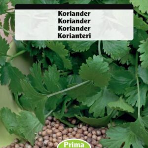 Korianderfrø – Så koriander – Krydderurt