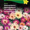 Middagsblomst – Blomsterfrø
