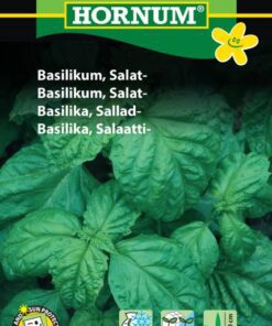 Basilikum frø – Salat basilikum