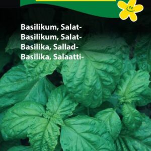 Basilikum frø – Salat basilikum