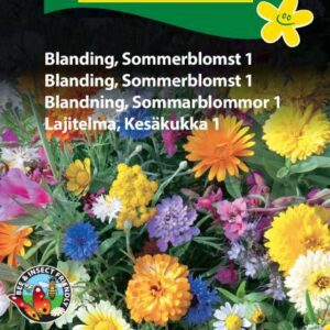 Blomsterblanding – Sommerblomst 1