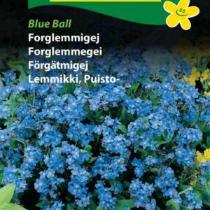 Forglemmigej blå Blue Bell – Blomsterfrø