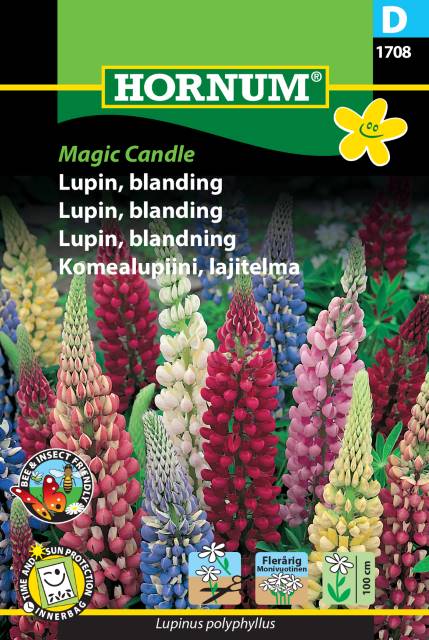 Lupin blanding – Blomsterfrø – Lupinfrø i farverig blanding.