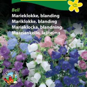 Marieklokke blanding – Blomsterfrø