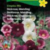 Stokrose blanding – Blomsterfrø