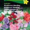 Ærteblomst blanding – Blomsterfrø