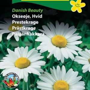 Okseøje Danish Beauty – Blomsterfrø