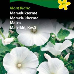 Mamelukærme Mont Blanc – Blomsterfrø