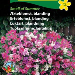 Ærteblomst blanding “Smell of Summer” – Blomsterfrø