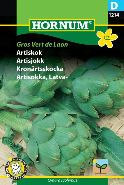 Artiskok frø – Artiskokker er både velsmagende grøntsager og flotte snitblomster