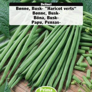 Buskbønne – Haricot Verts – Grøntsagsfrø