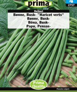 Buskbønne – Haricot Verts – Grøntsagsfrø