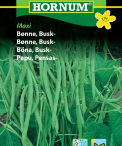 Buskbønne Maxi – Grøntsagsfrø – Nem at høste