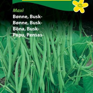 Buskbønne Maxi – Grøntsagsfrø – Nem at høste